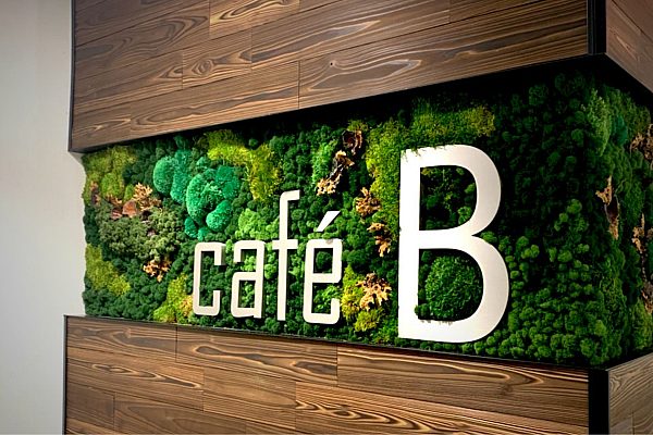 BIG Website Home Page Photo Cropping Interior Custom Logos Letters 88 revised