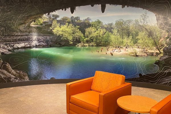 custom-large-format-environmental-wall-mural-natural-landscape-signage.jpg