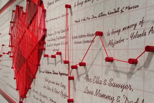 interior-donor-recognition-wall-sculptural-egd-heart-installation.jpg