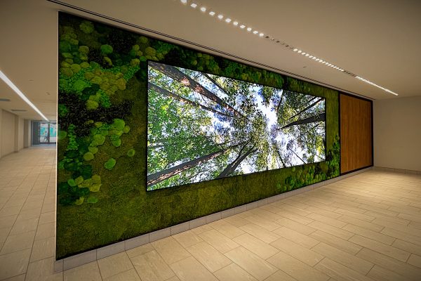 large-format-biophilic-wall-graphic-indoor-custom-signage.jpg